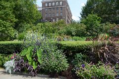 35H Flowers In South Conservatory English Garden In Central Park East 104 St.jpg